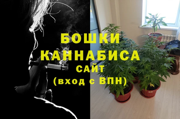 стафф Баксан